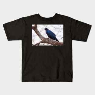 Ruppel's Long Tailed Starling Kids T-Shirt